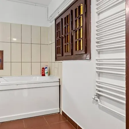 Apartament Modern Si Confortabil Ciuismig Park - Ap5 *